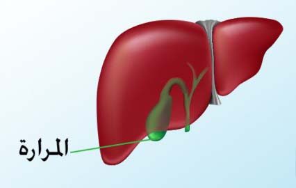 استئصال المرارة العلاقة الزوجية بعد عملية المرارة